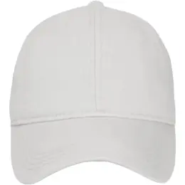 FWRD Putter Cap White Front